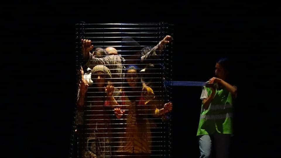 50297099_2294103640608178_6458079105924464640_n